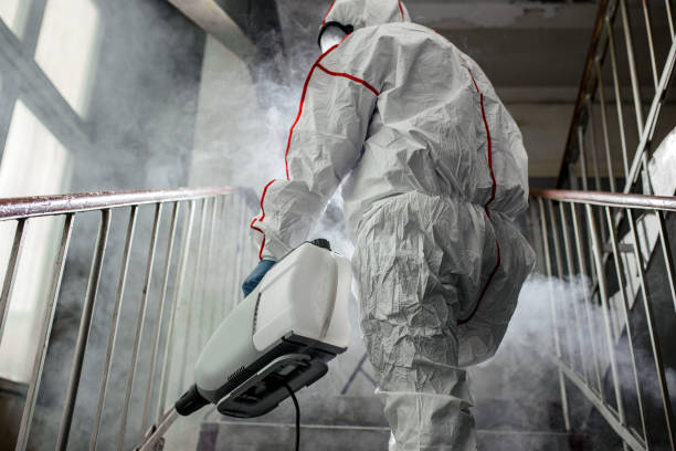 Best Mold Prevention Services  in Laurel, DE